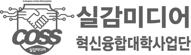 실감미디어 혁신융합대학사업단